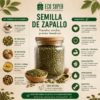 infografia zapallo
